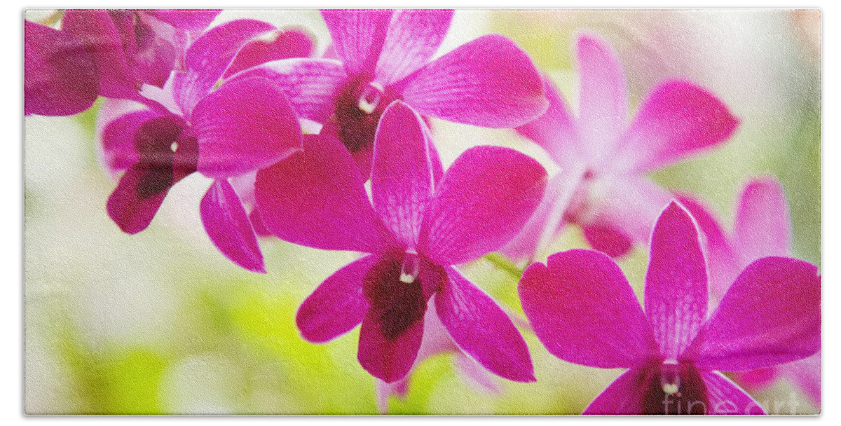 Afternoon Bath Towel featuring the photograph Pink Orchid Lei #1 by Dana Edmunds - Printscapes