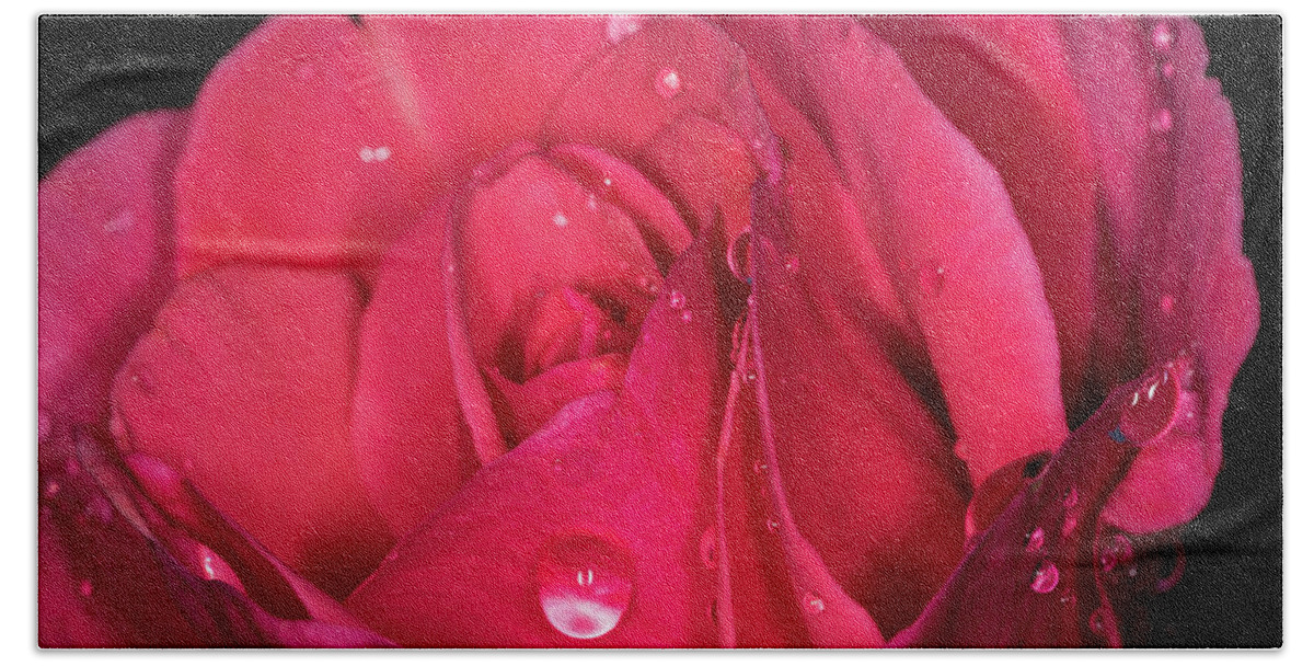 Jay Stockhaus Bath Towel featuring the photograph Pink Rose #1 by Jay Stockhaus