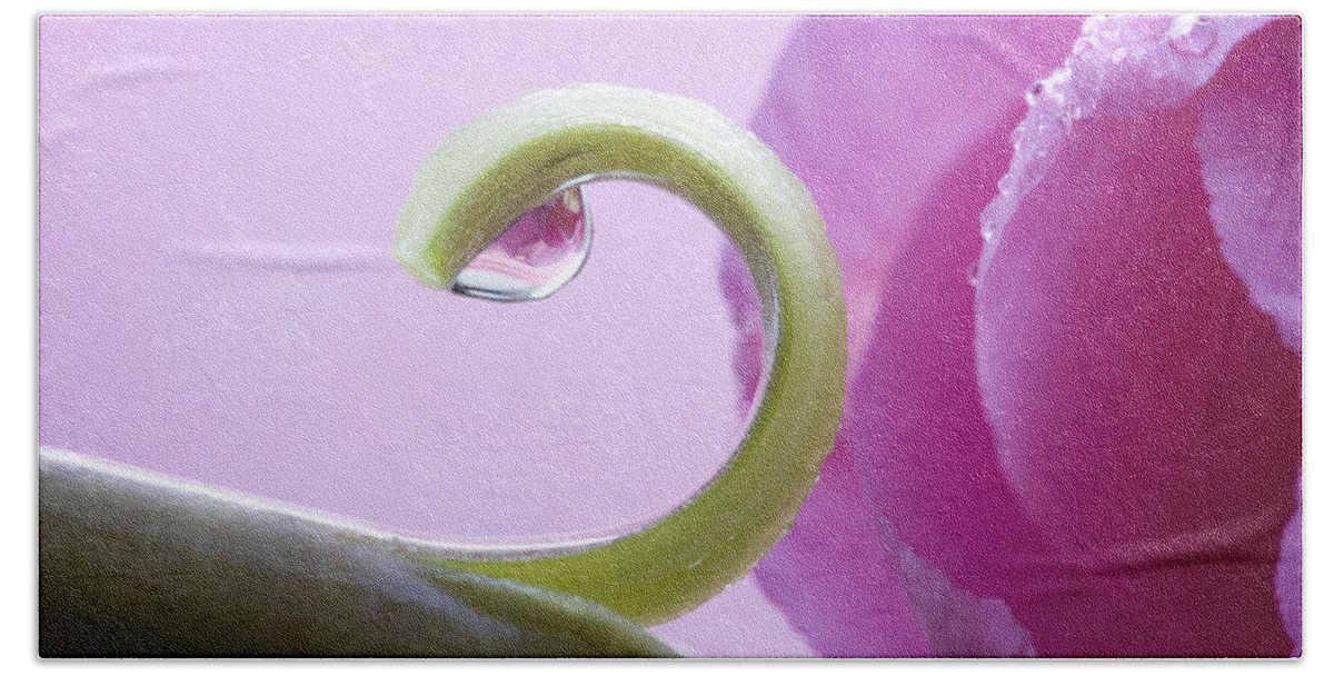 Plant Bath Towel featuring the photograph Pink Tulip Macro #1 by Mark Duffy