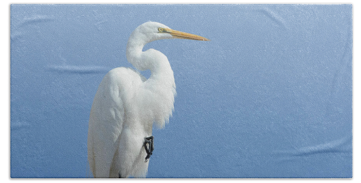 Great Egret Bath Towel featuring the photograph Poised #1 by Fraida Gutovich