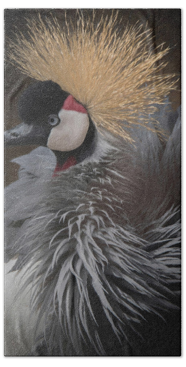 African Crowned Cranes Hand Towel featuring the digital art Portrait of a Crowned Crane #1 by Ernest Echols