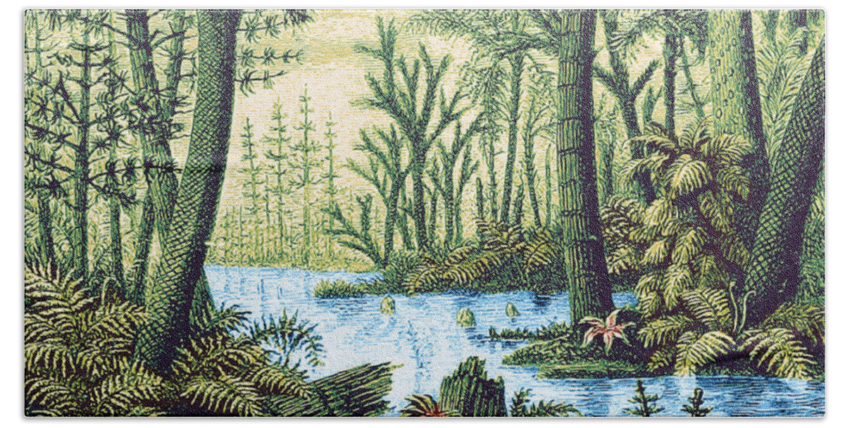 Historic Bath Towel featuring the photograph Prehistoric Flora, Carboniferous Period #2 by Science Source