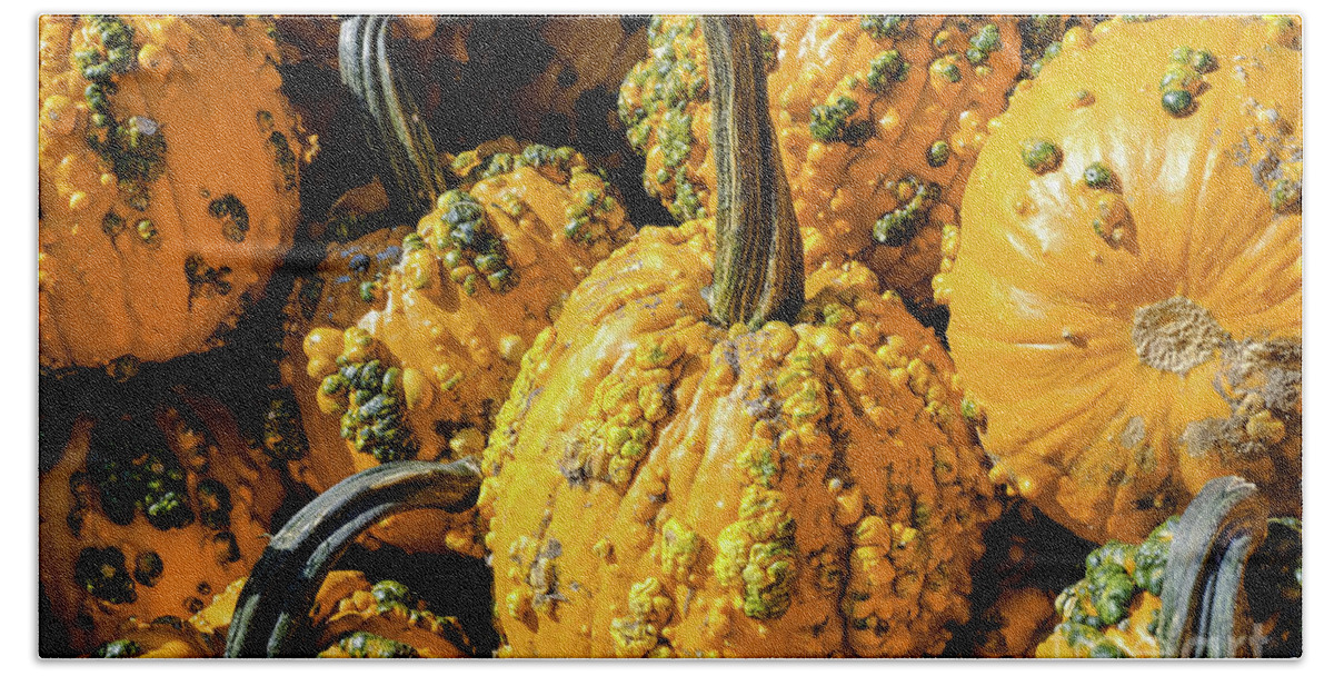 Autumn Hand Towel featuring the photograph Pumpkins with Warts #1 by Iryna Liveoak