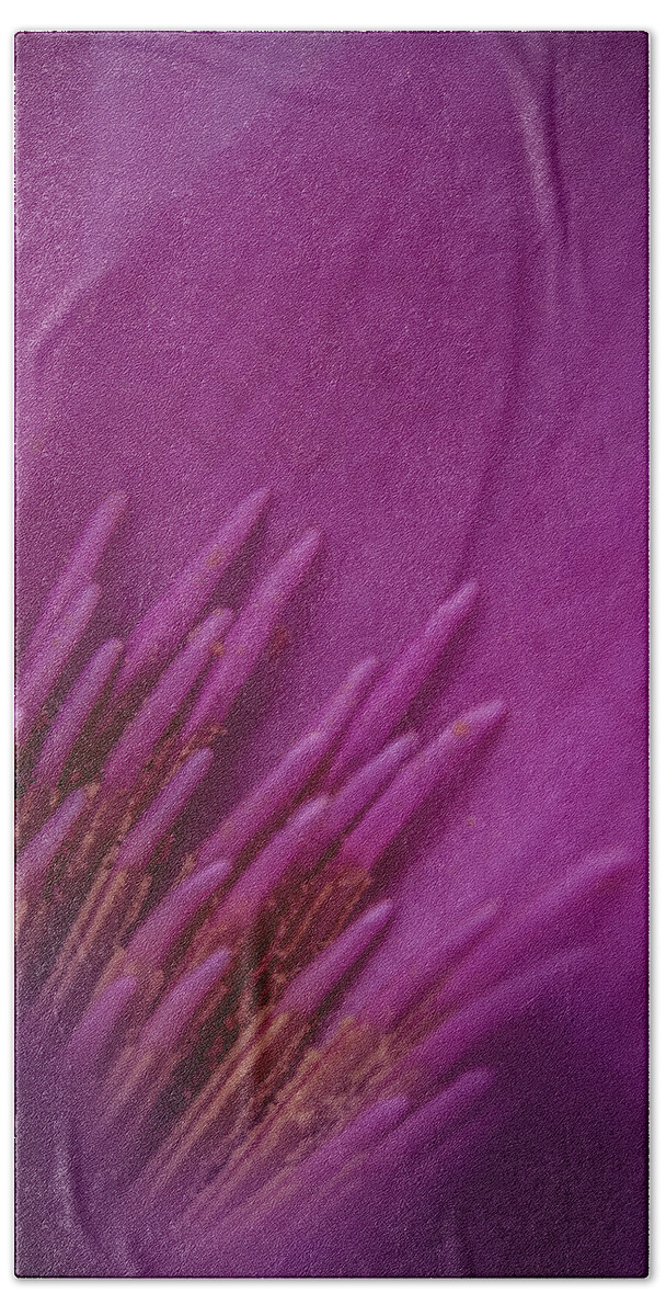 Flowers Hand Towel featuring the photograph Purple Haze #1 by Stewart Helberg