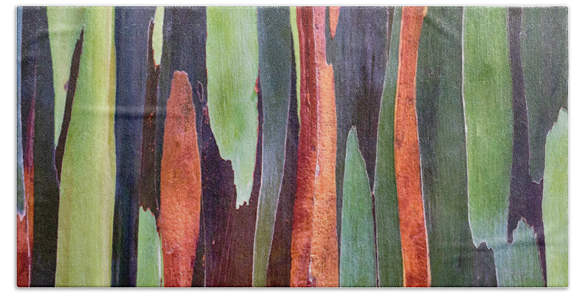 Rainbow Eucalyptus Bath Towel featuring the photograph Rainbow Eucalyptus #2 by Susan Rissi Tregoning