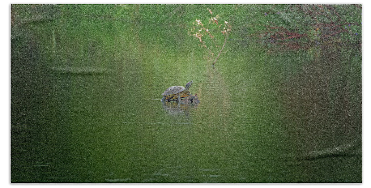 Red Bath Towel featuring the photograph Red-eared Slider Turtle #1 by Tam Ryan