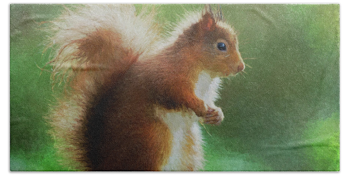 Red Squirrel Hand Towel featuring the digital art Red Squirrel Sciurus Vulgaris by Liz Leyden