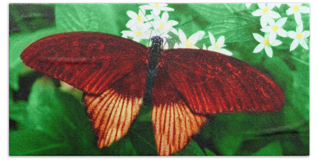 Butterfly Bath Towel featuring the photograph Red Velvet #1 by Barbara S Nickerson