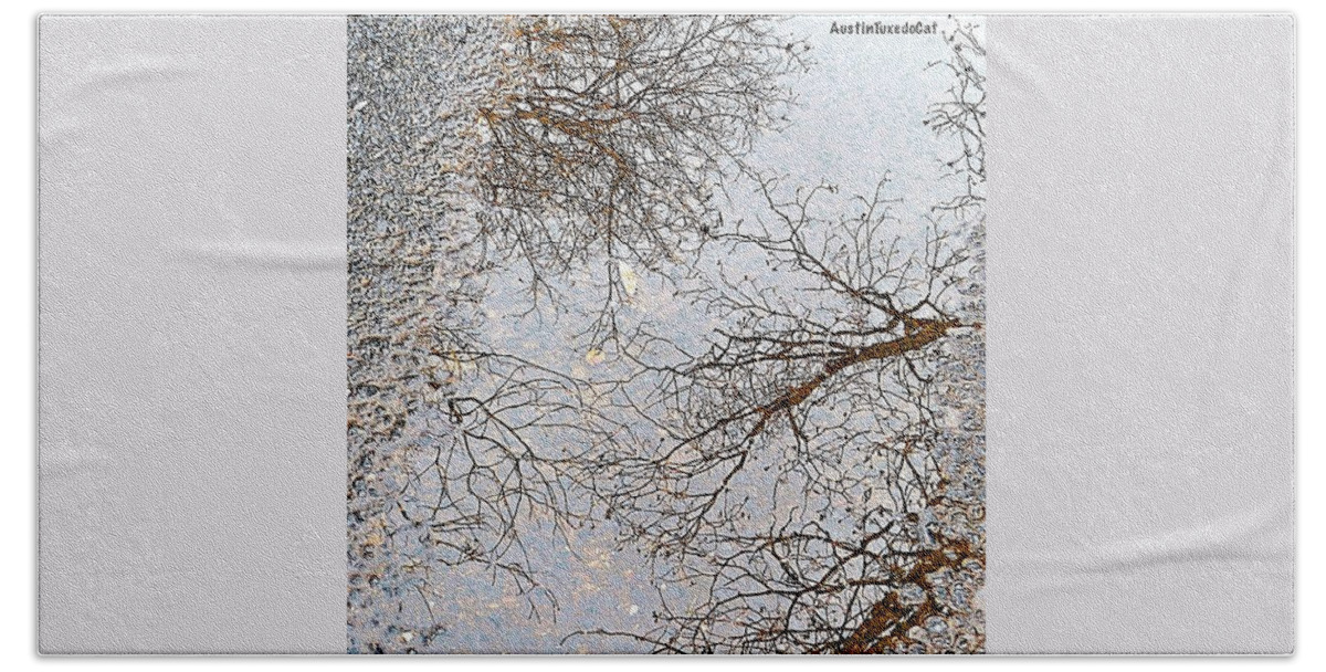 Beautiful Hand Towel featuring the photograph #reflection Of #tree #branches In A #1 by Austin Tuxedo Cat