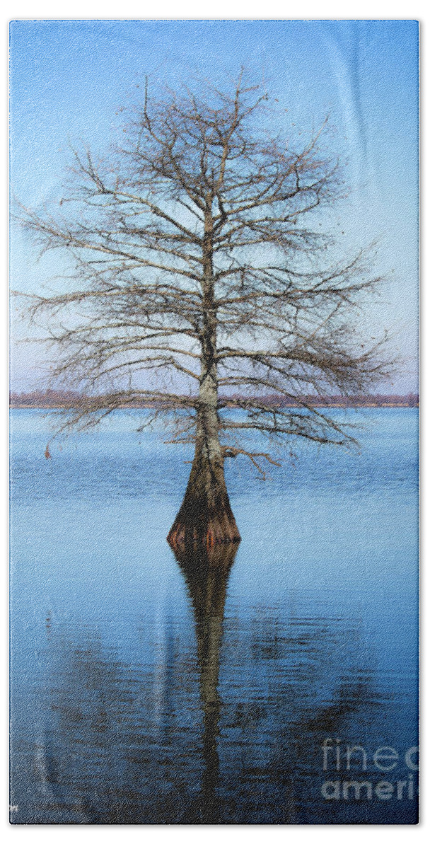 Cyprus Trees Bath Towel featuring the photograph Reflection #1 by Veronica Batterson