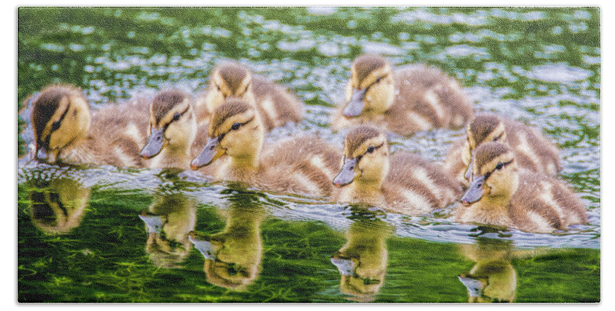 Ducks Bath Towel featuring the photograph Reflections #1 by Cathy Kovarik