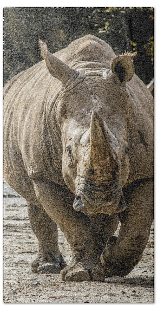 Rhino Hand Towel featuring the photograph Rhino Walking Toward You #1 by William Bitman