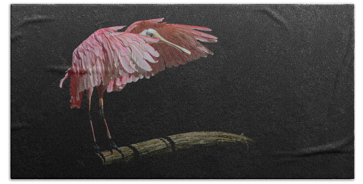 Roseate Spoonbill Bath Towel featuring the photograph Roseate Spoonbill #2 by Stuart Harrison