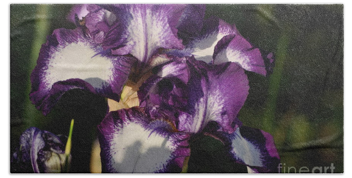 Purple Hand Towel featuring the photograph Royal #1 by Nona Kumah