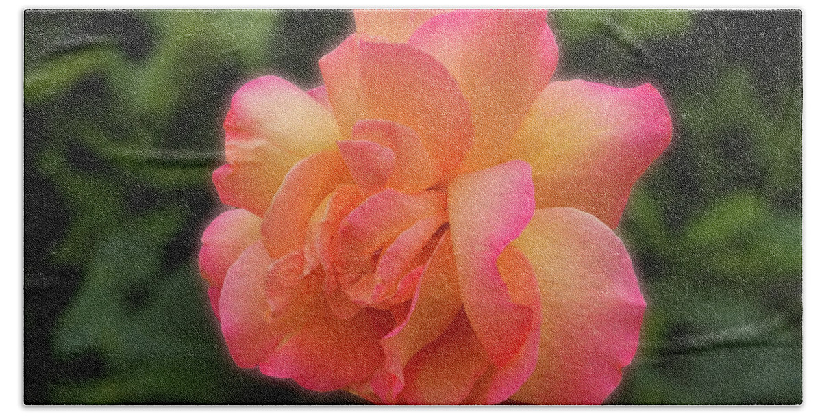 Rose Bath Towel featuring the photograph Royal Rose #1 by Mark Blauhoefer