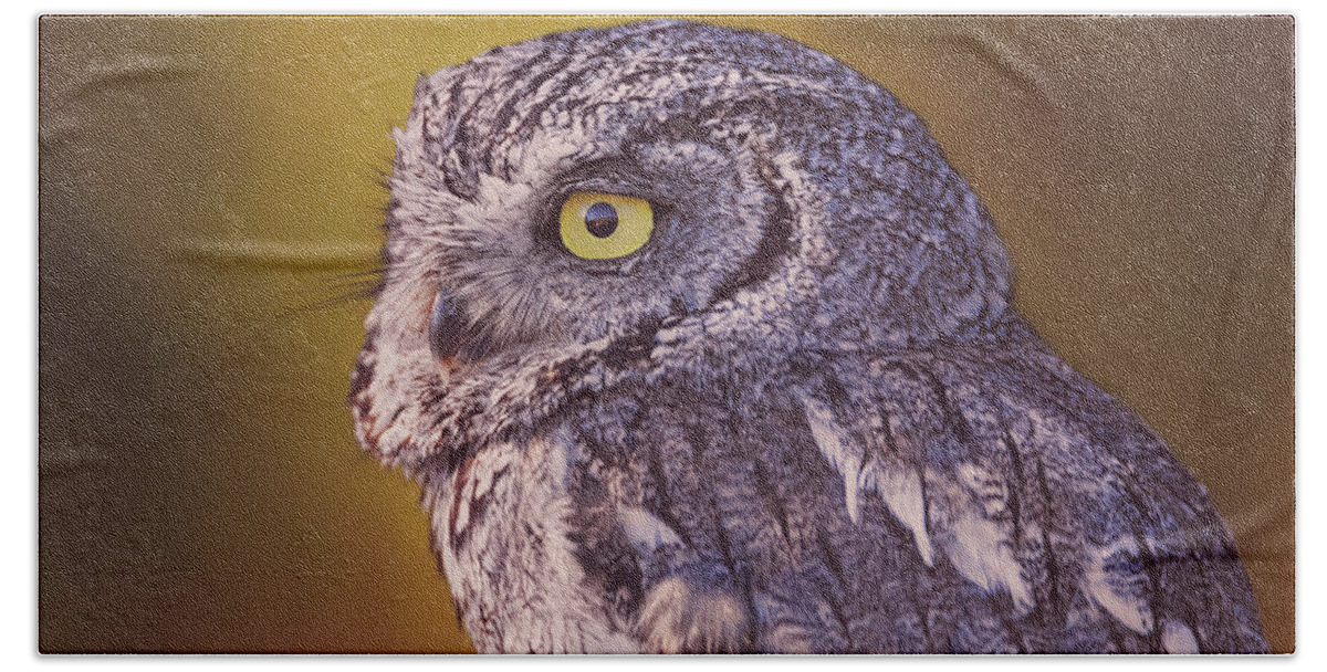 Animal Bath Towel featuring the photograph Screech Owl #1 by Brian Cross