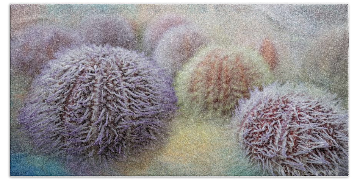 Sea Urchin Shells Bath Towel featuring the photograph Sea Urchin Shells #1 by Eva Lechner