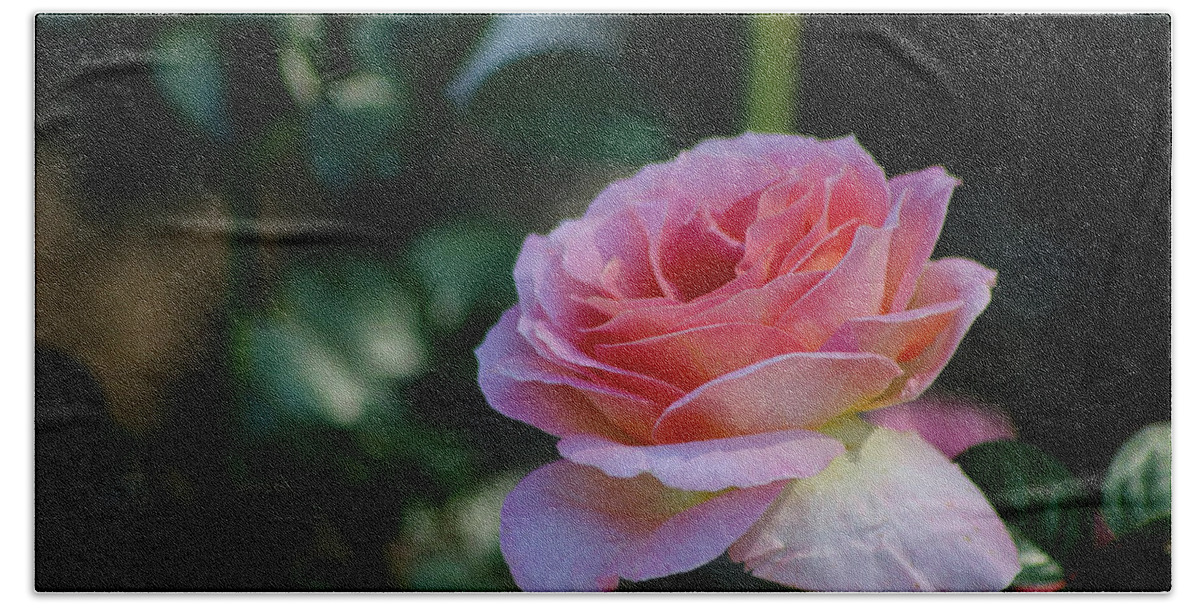 Rose Hand Towel featuring the photograph September Morning #1 by Living Color Photography Lorraine Lynch