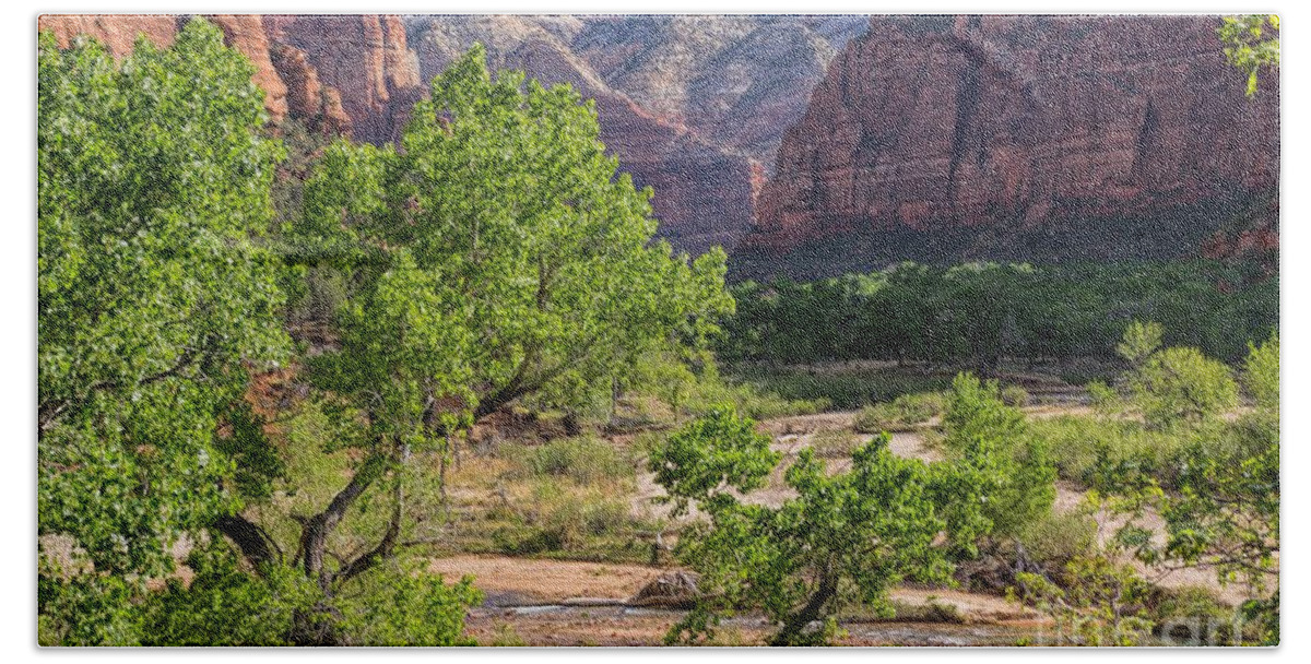 Utah Bath Towel featuring the photograph Spring in Zion #1 by Peggy Hughes