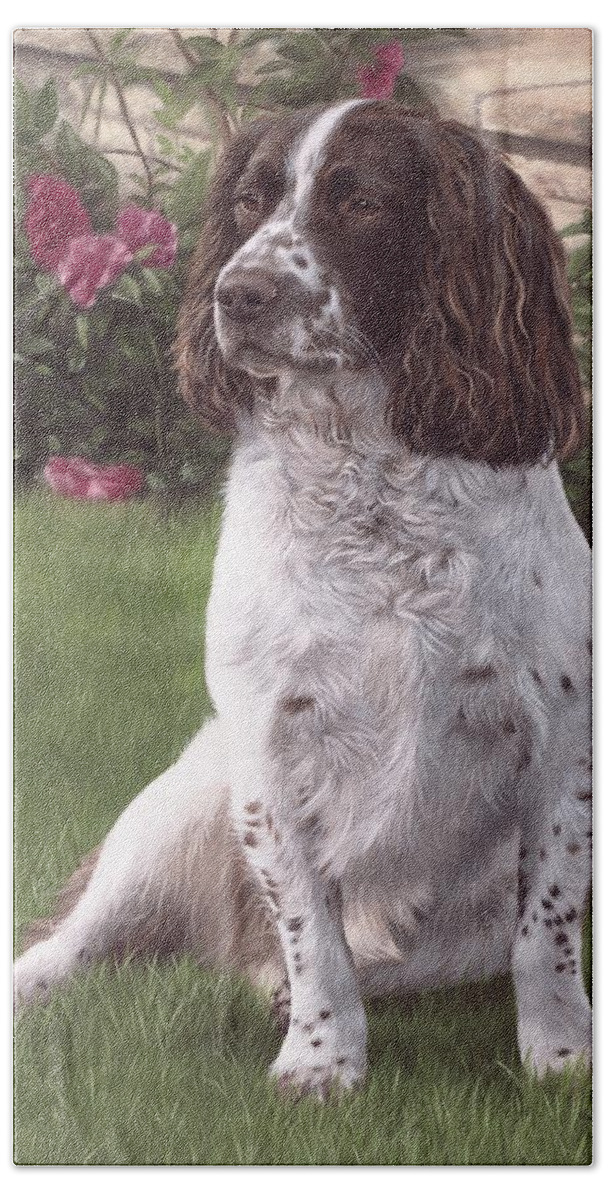 Springer Spaniel Bath Towel featuring the painting Springer Spaniel Painting #1 by Rachel Stribbling