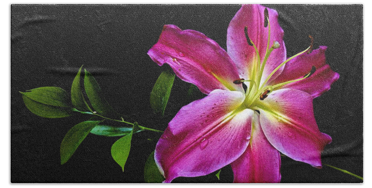 Flower Hand Towel featuring the photograph Stargazer Lily by Barbara Zahno