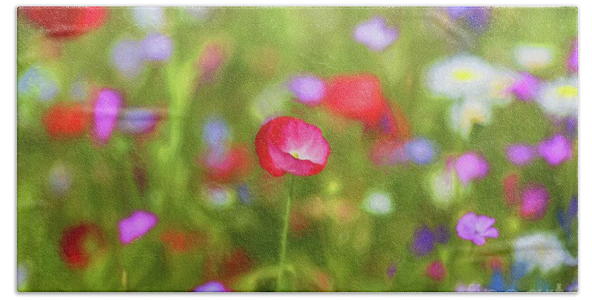 Summer Bath Towel featuring the photograph Summer Meadow #1 by Eva Lechner