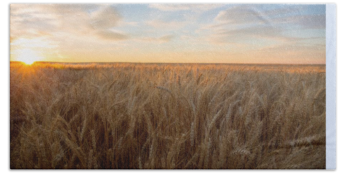 Summer Wheat Hand Towel featuring the photograph Summer wheat #2 by Lynn Hopwood