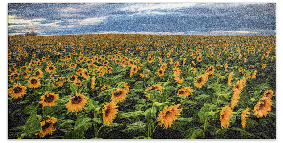 Sunflower Bath Sheet featuring the photograph Sunflower Farm #1 by Juli Ellen