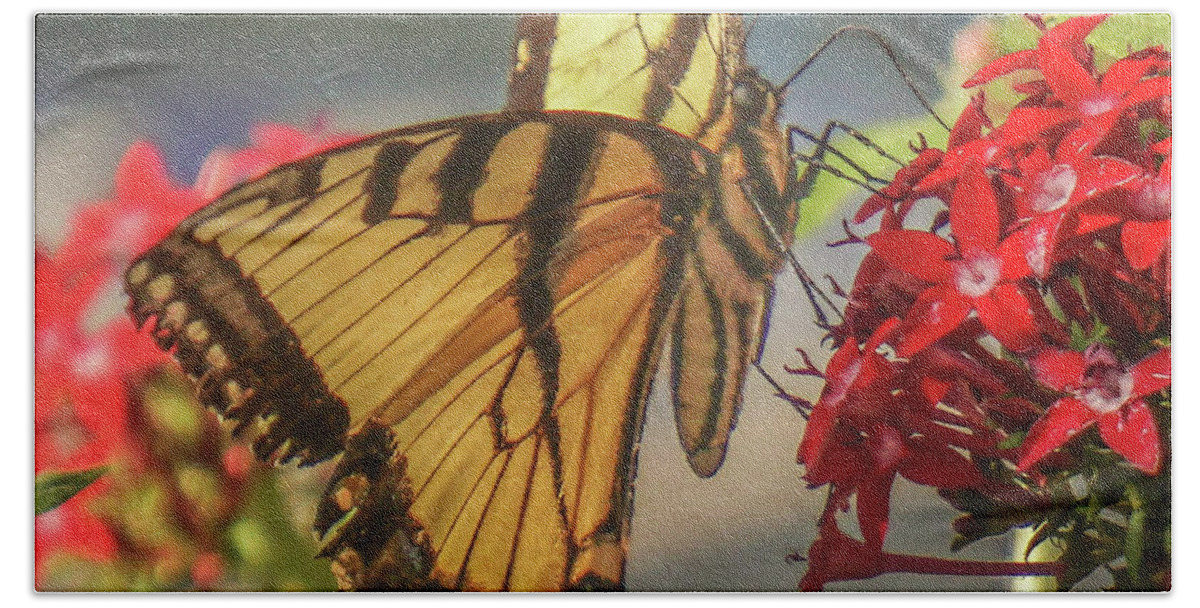 Florida Bath Towel featuring the photograph Swallowtail #1 by Jane Luxton