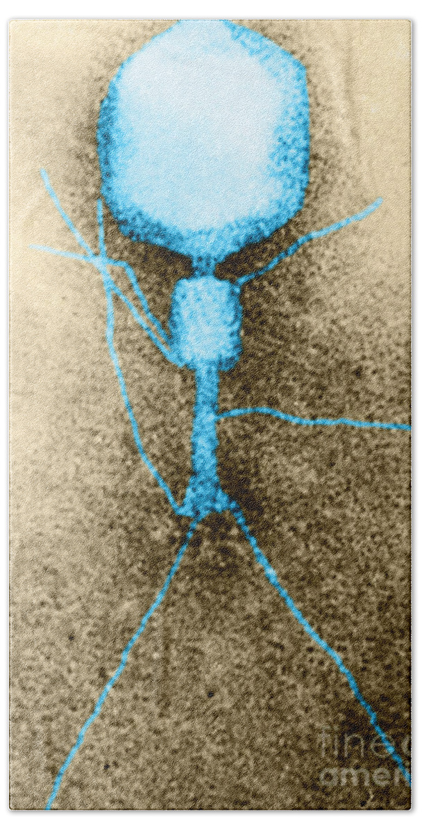T-even Hand Towel featuring the photograph T2 Coli Bacteriophage, Tem #1 by Biophoto Associates