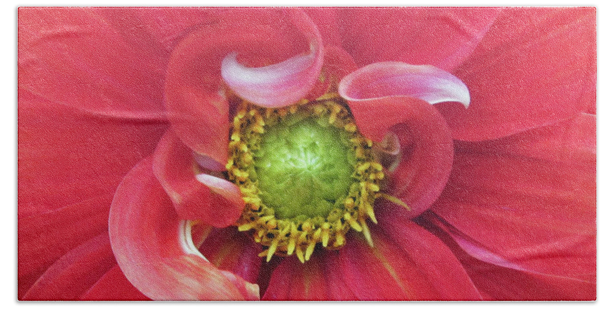 Photograph Of Dahlia Hand Towel featuring the photograph The Dahlia #1 by Gwyn Newcombe
