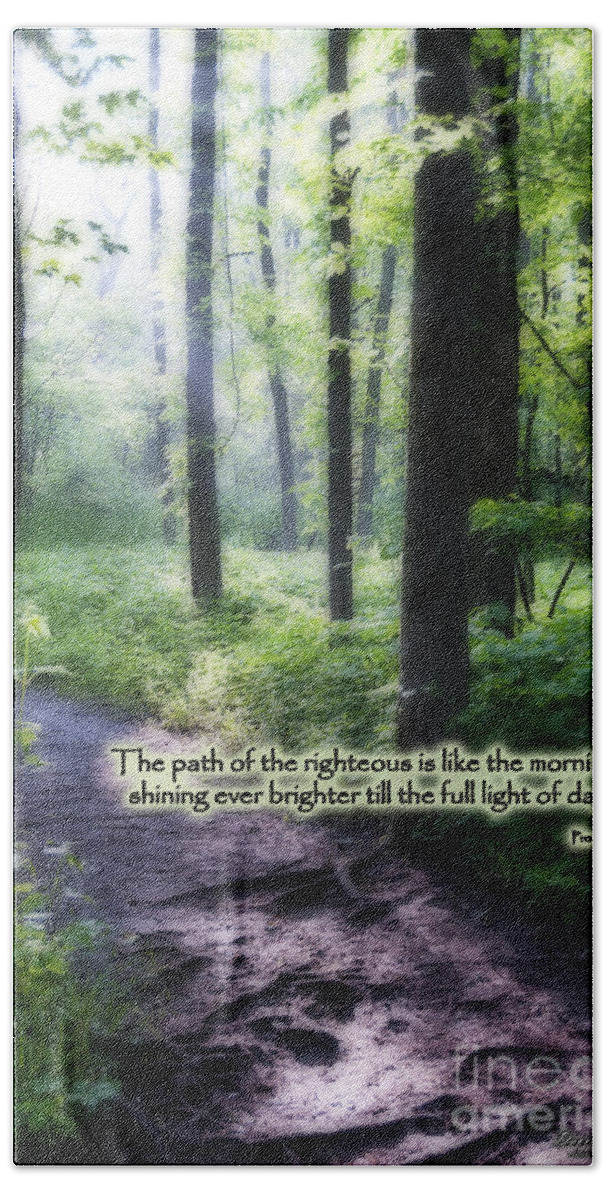 Path Bath Towel featuring the photograph The Path #1 by David Arment