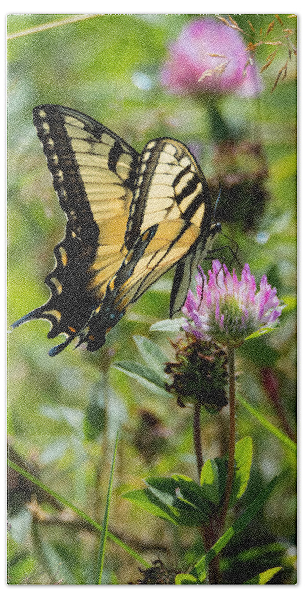 Butterfly Bath Towel featuring the photograph Tiger Swallowtail Butterfly by Holden The Moment