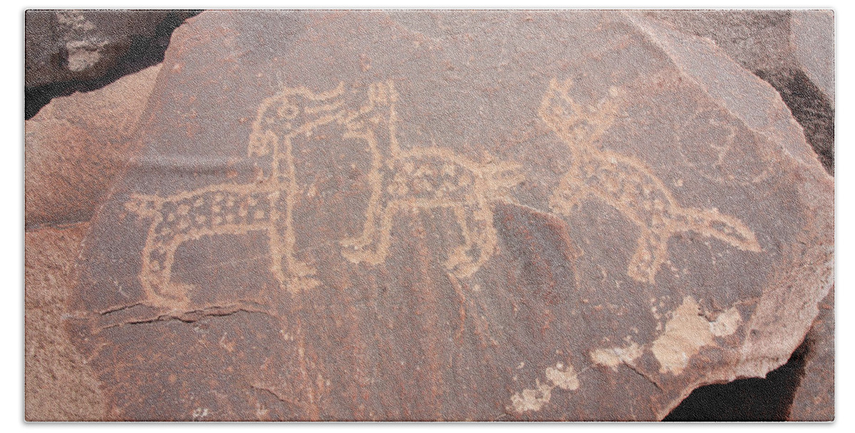 Outdoors Bath Towel featuring the photograph Toro Muerto Petroglyph 42 #1 by Aidan Moran