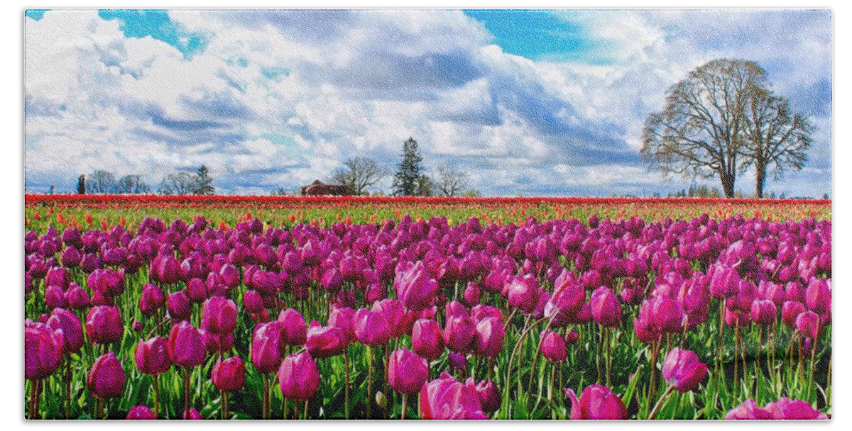 Tulips Bath Towel featuring the photograph Tulip Field #2 by Brian Eberly
