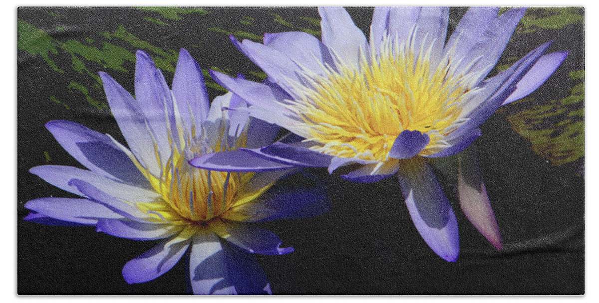 Flowers Bath Towel featuring the photograph Two of a Kind #1 by Cindy Manero