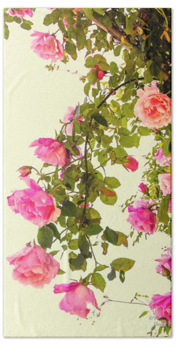 Roses Hand Towel featuring the photograph Vintage Roses #1 by Elaine Teague