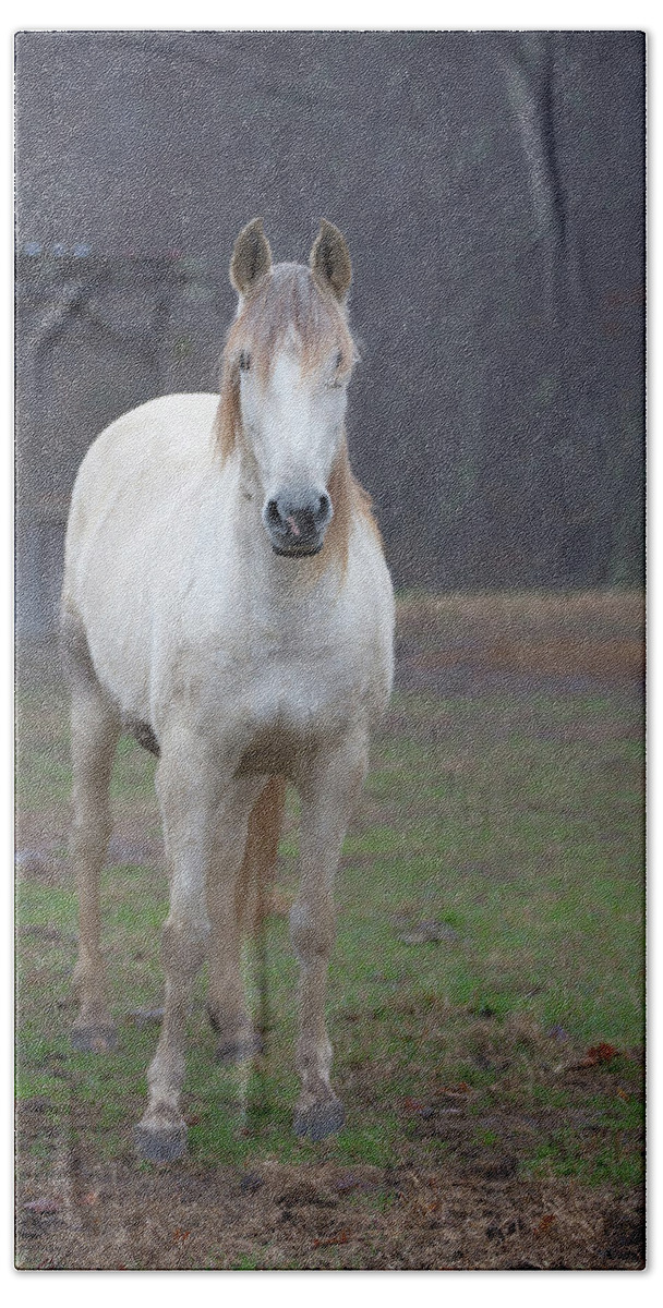White Bath Towel featuring the photograph White horse in fog #1 by Jack Nevitt