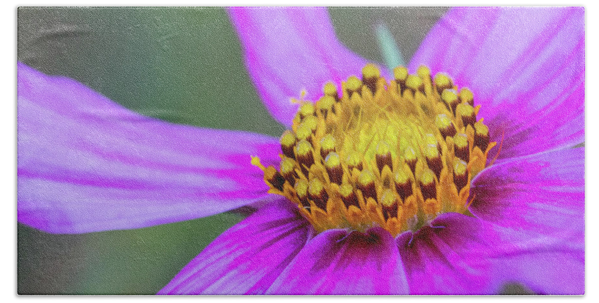 Abstract Bath Towel featuring the photograph Wild Purple Daisy #1 by SR Green