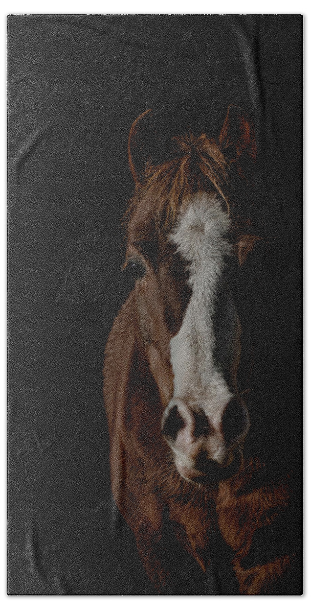 Pony Bath Towel featuring the photograph Window to the soul #1 by Paul Neville