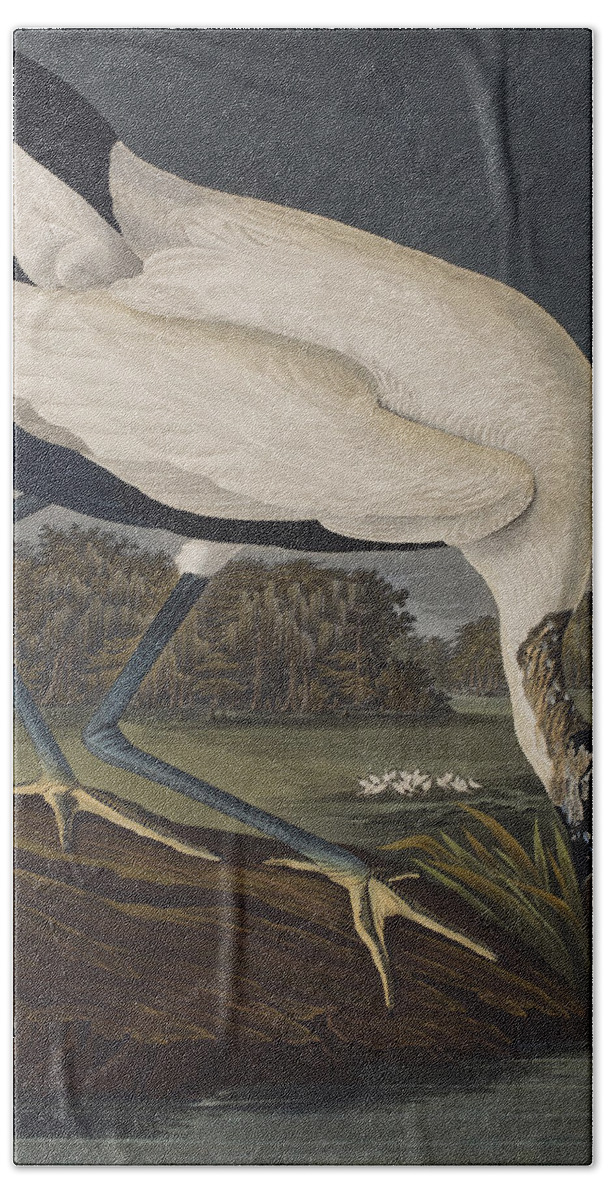 Plate 216 Wood Ibiss Hand Towel featuring the painting Wood Ibis by John James Audubon
