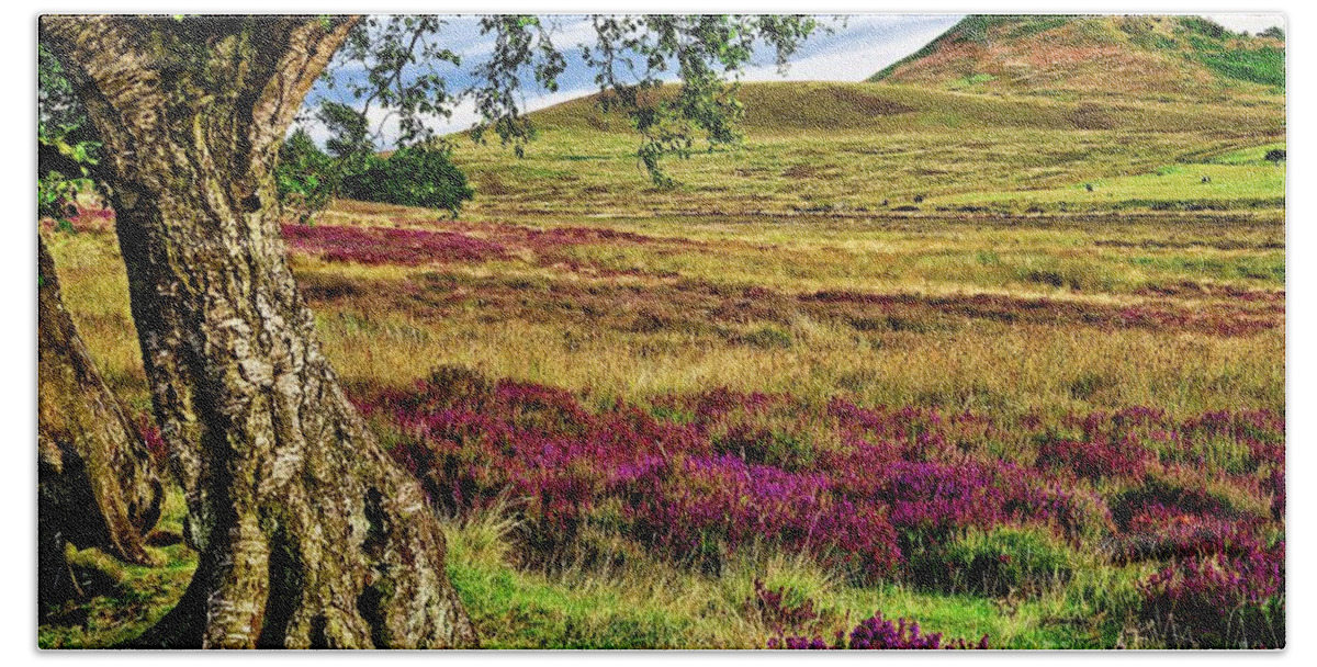 Yorkshire Hand Towel featuring the photograph Yorkshire Moorland Heather #1 by Martyn Arnold