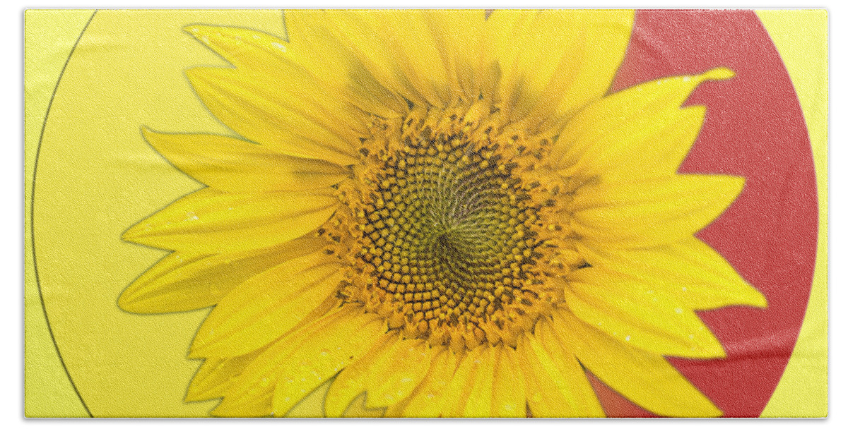 Sunflower Hand Towel featuring the photograph You Are My Sunshine by Thomas Young