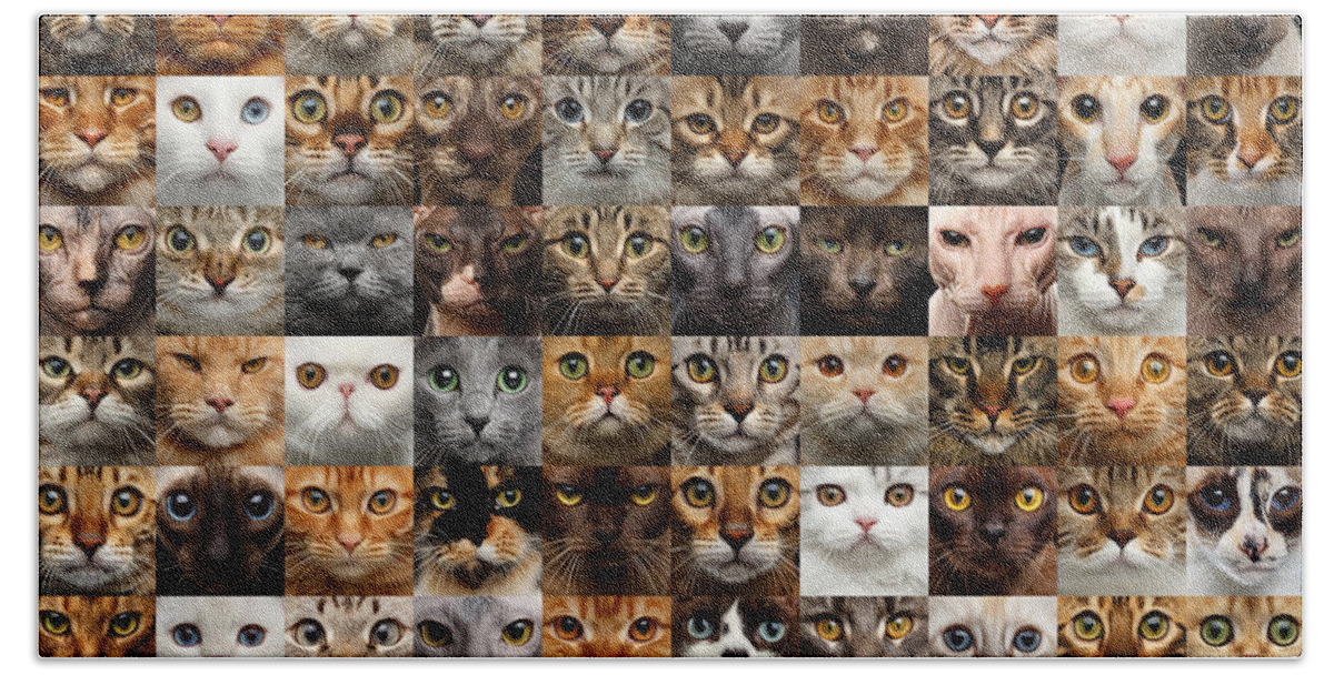 100 Bath Sheet featuring the photograph 100 Cat faces by Sergey Taran