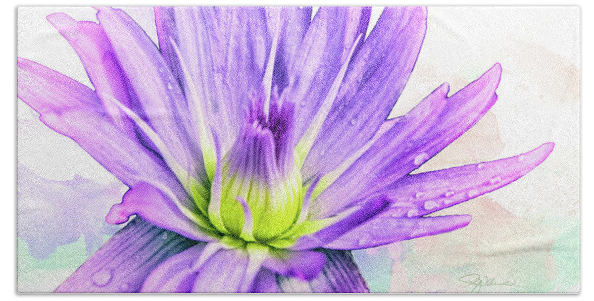 Water Lily Hand Towel featuring the photograph 10889 Purple Lily by Pamela Williams