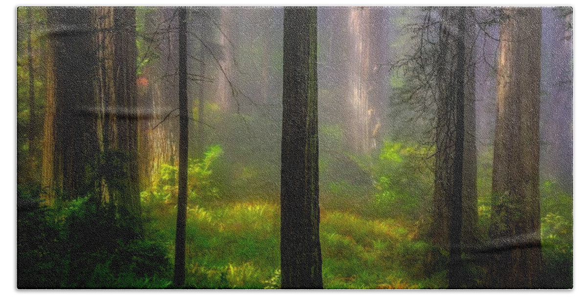 Forest Bath Towel featuring the photograph Forest #11 by Jackie Russo