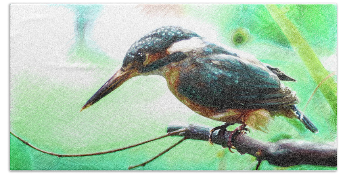 Kingfisher Bath Towel featuring the photograph 11447 Kingfisher Sketch by Colin Hunt
