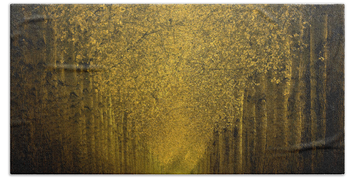 Forest Bath Towel featuring the photograph Forest #12 by Jackie Russo