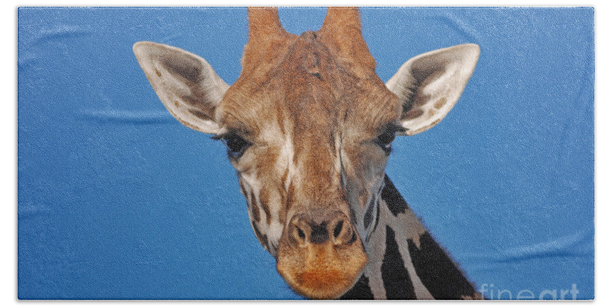 Giraffe Bath Towel featuring the photograph 13- Giraffe by Joseph Keane