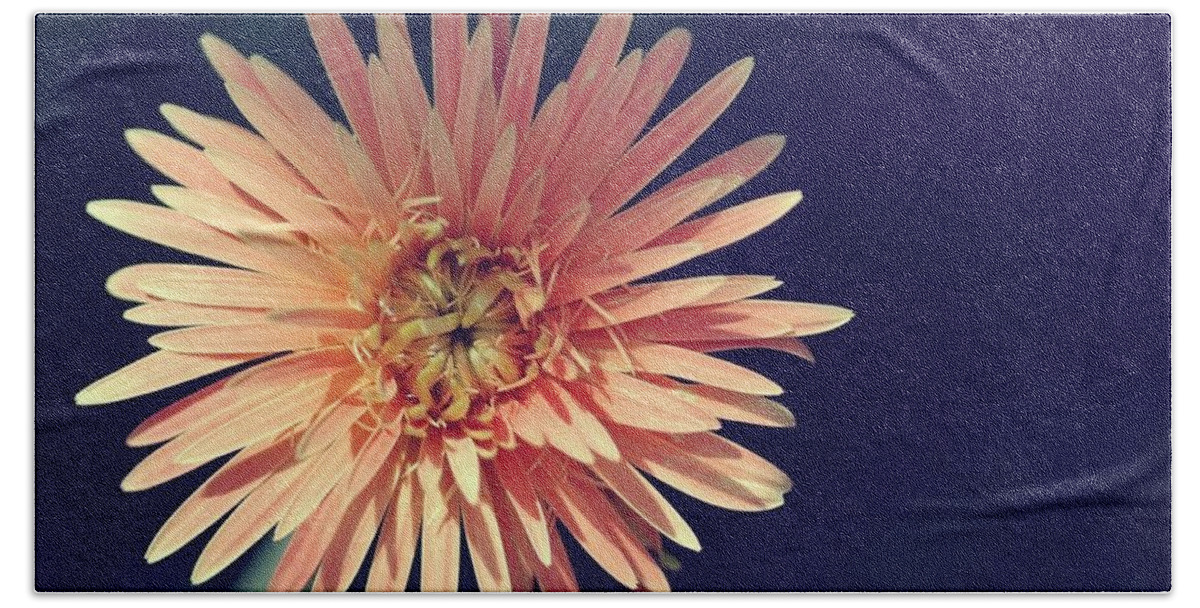 Flower Hand Towel featuring the photograph Flower #14 by Jackie Russo